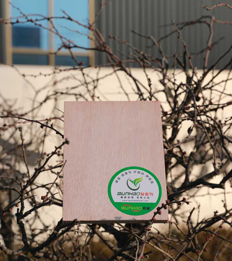 B級(jí)阻燃板 B級(jí)阻燃板